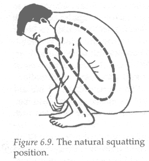 Natural Squatting Position